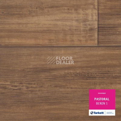 Линолеум Tarkett Pastoral BENIN 1 фото 1 | FLOORDEALER